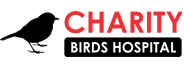Charity Birds Horpital